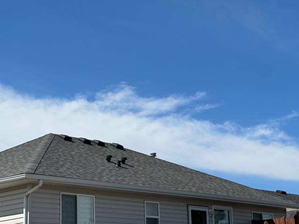 Best Emergency Roof Repair Services  in Chanhassen, MN